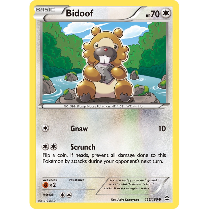 Bidoof (116/160) [XY: Primal Clash]