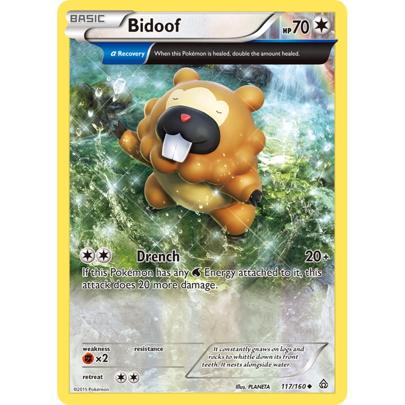 Bidoof (117/160) [XY: Primal Clash]