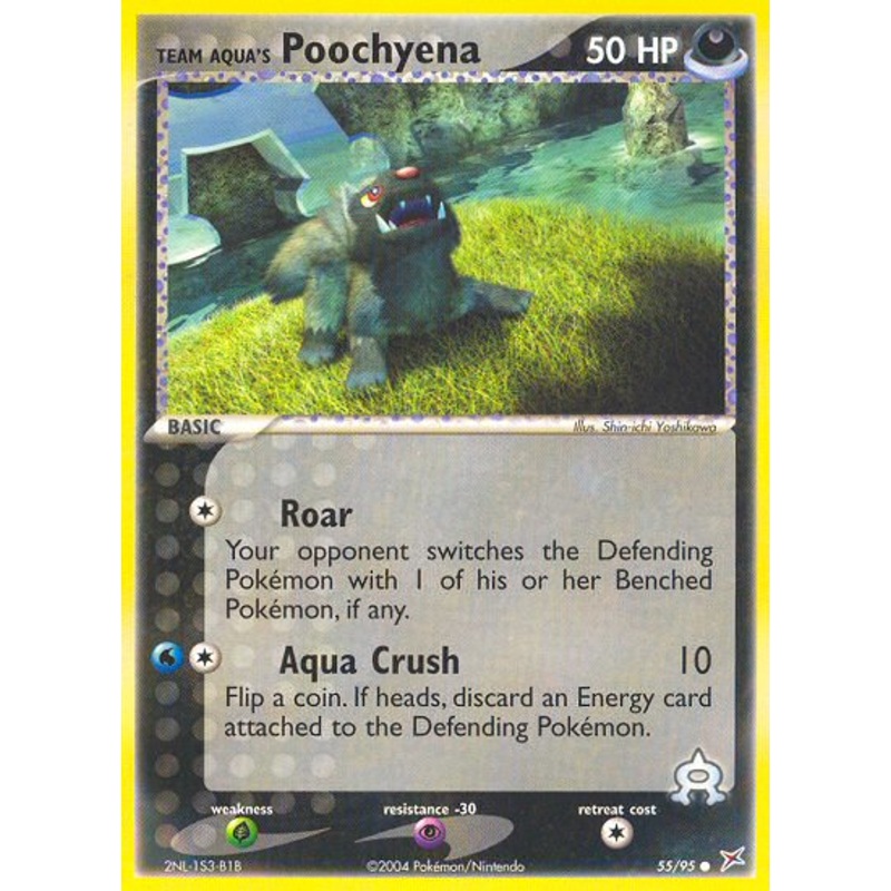 Team Aqua's Poochyena (55/95) [EX: Team Magma vs Team Aqua]