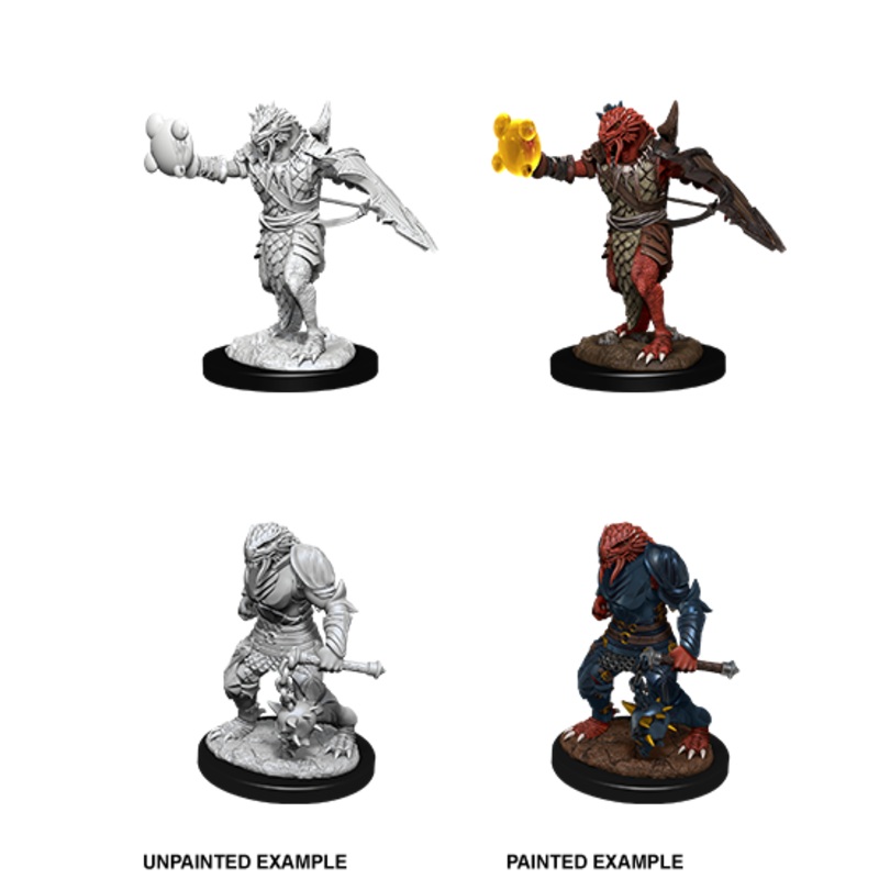 Dungeons & Dragons Nolzur's Marvelous Unpainted Miniatures: W11 Dragonborn Paladin Male