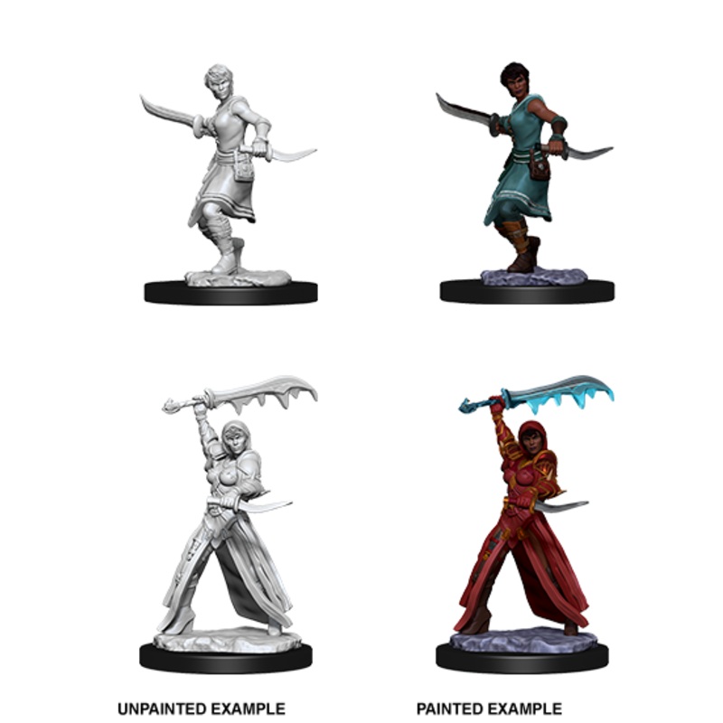 Dungeons & Dragons Nolzur's Marvelous Unpainted Miniatures: W11 Human Rogue Female