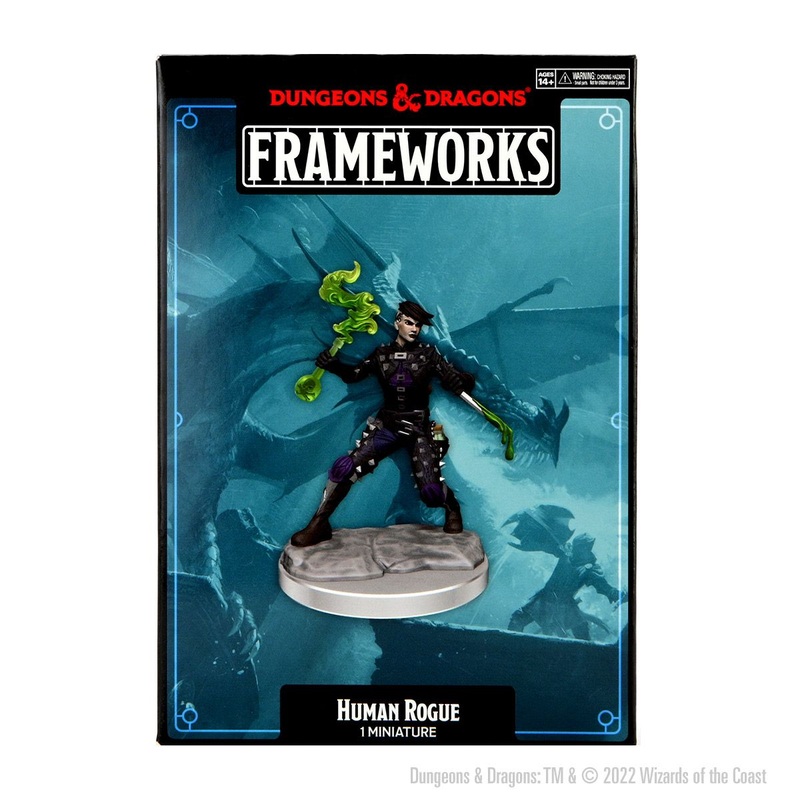 Dungeons & Dragons Frameworks: W01 Human Rogue Female