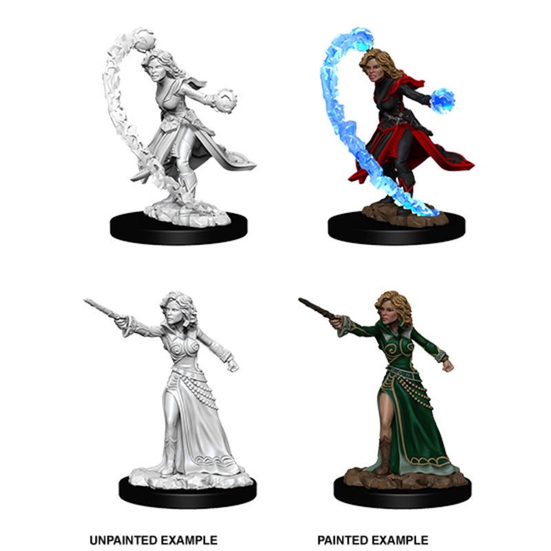 Pathfinder Deep Cuts Unpainted Miniatures: W06 Human Wizard Female