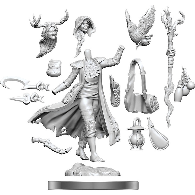 Dungeons & Dragons Frameworks: W01 Human Druid Female