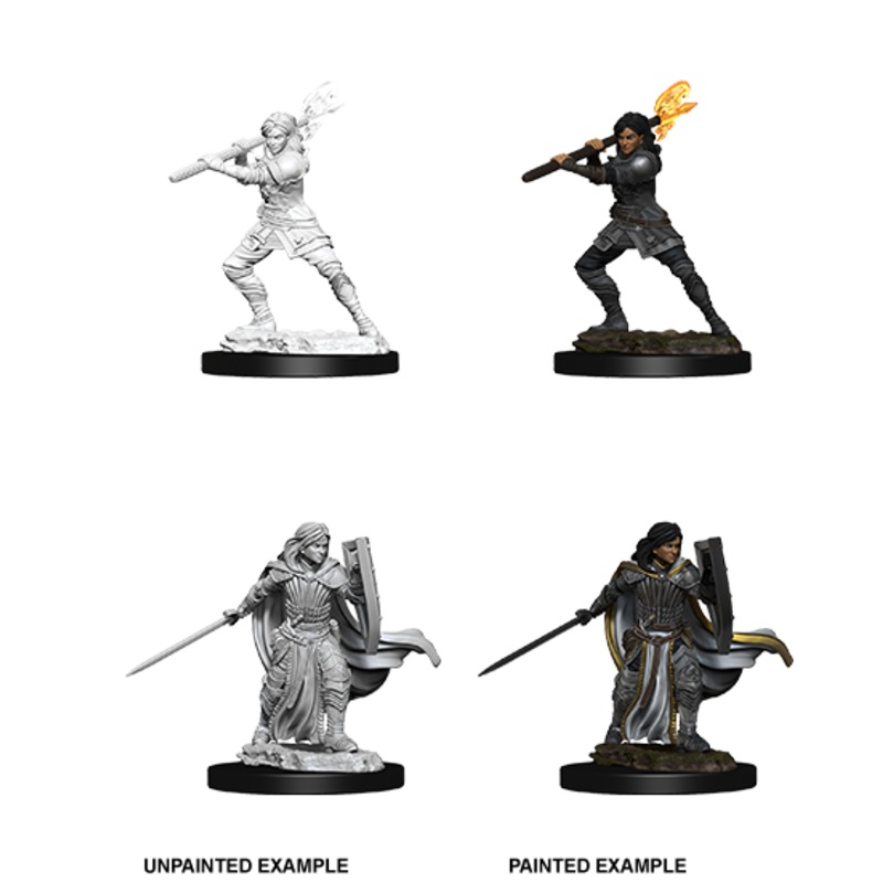 Dungeons & Dragons Nolzur's Marvelous Unpainted Miniatures: W10 Human Paladin Female