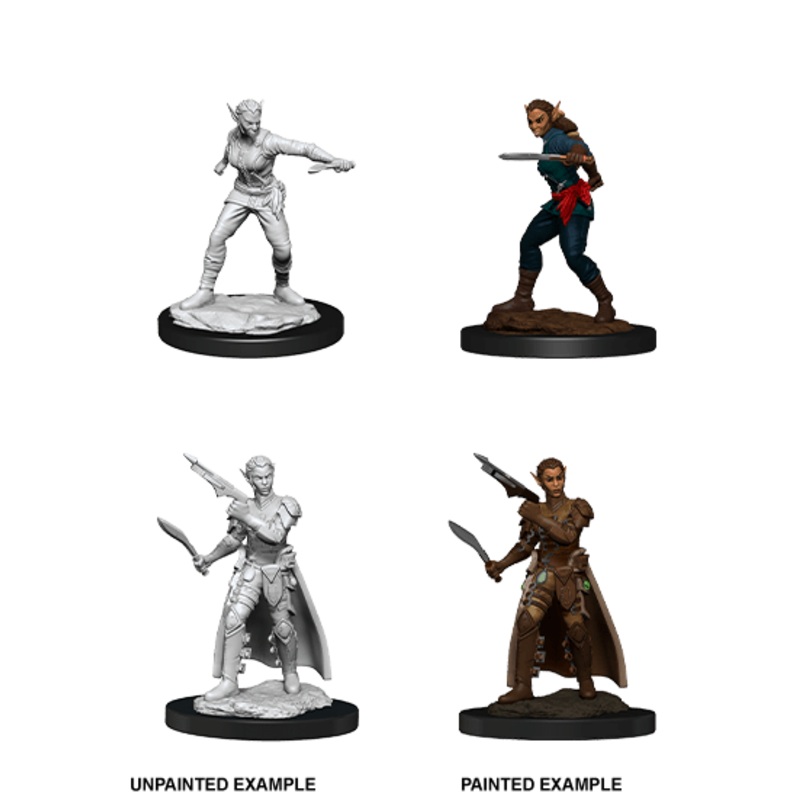 Dungeons & Dragons Nolzur's Marvelous Unpainted Miniatures: W13 Shifter Rogue