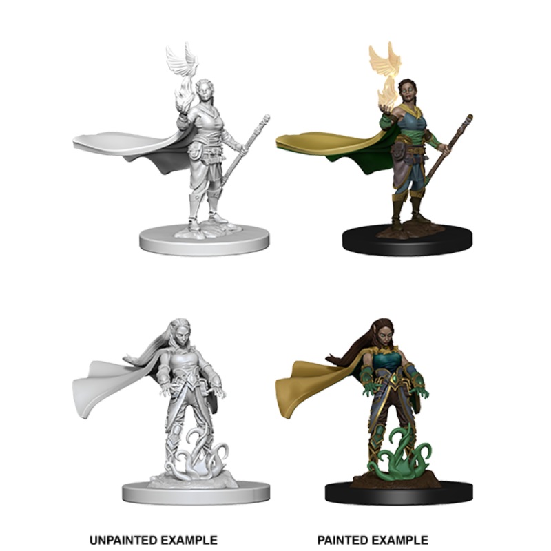 Dungeons & Dragons Nolzur's Marvelous Unpainted Miniatures: W04 Elf Female Druid