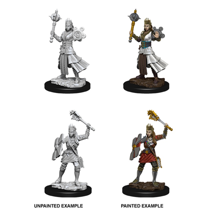 Dungeons & Dragons Nolzur's Marvelous Unpainted Miniatures: W08 Human Cleric Female