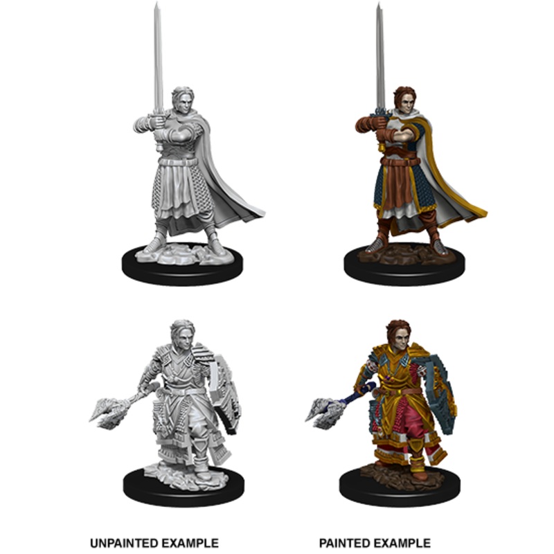 Dungeons & Dragons Nolzur's Marvelous Unpainted Miniatures: W08 Human Cleric Male