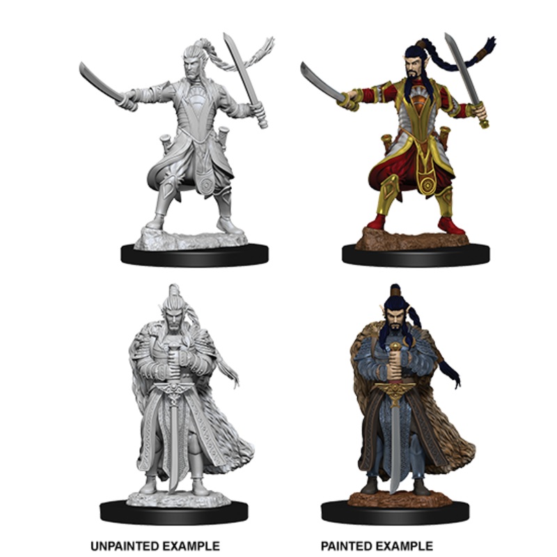 Dungeons & Dragons Nolzur's Marvelous Unpainted Miniatures: W09 Elf Paladin Male