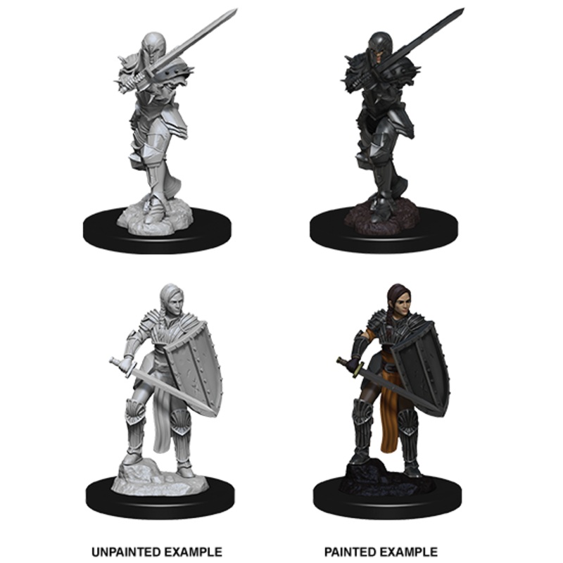 Dungeons & Dragons Nolzur's Marvelous Unpainted Miniatures: W09 Human Fighter Female