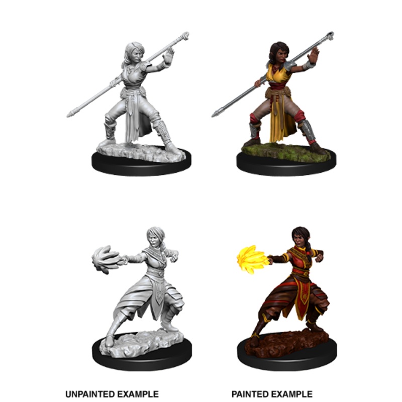 Dungeons & Dragons Nolzur's Marvelous Unpainted Miniatures: W10 Half-Elf Monk Female