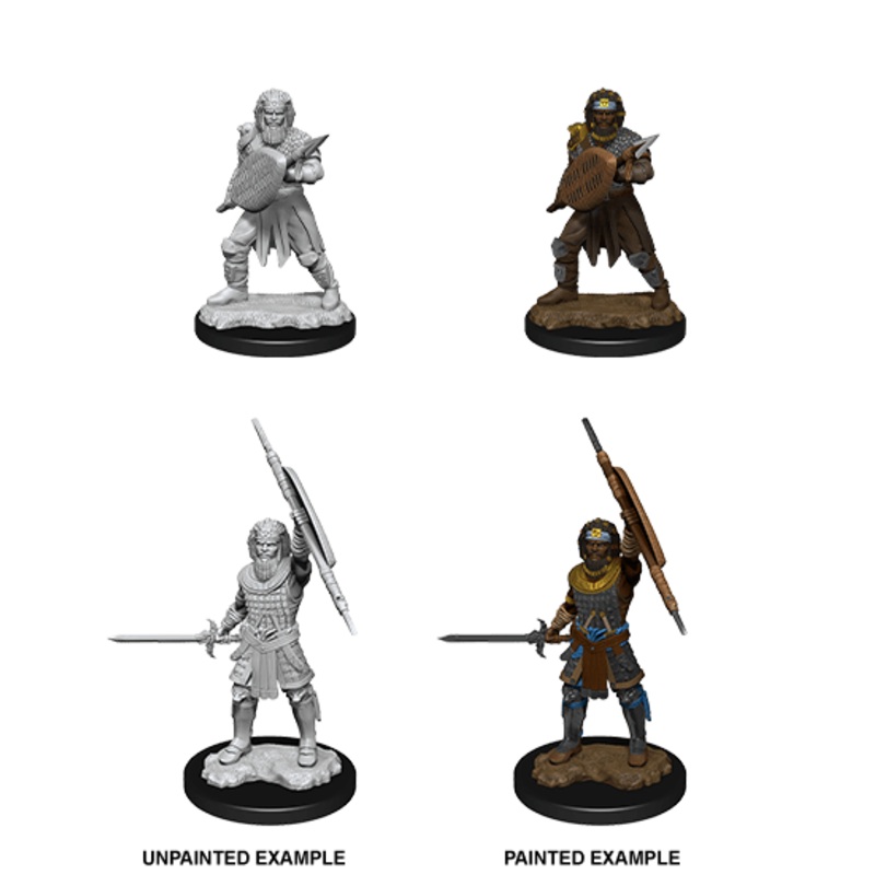 Dungeons & Dragons Nolzur's Marvelous Unpainted Miniatures: W13 Human Fighter Male