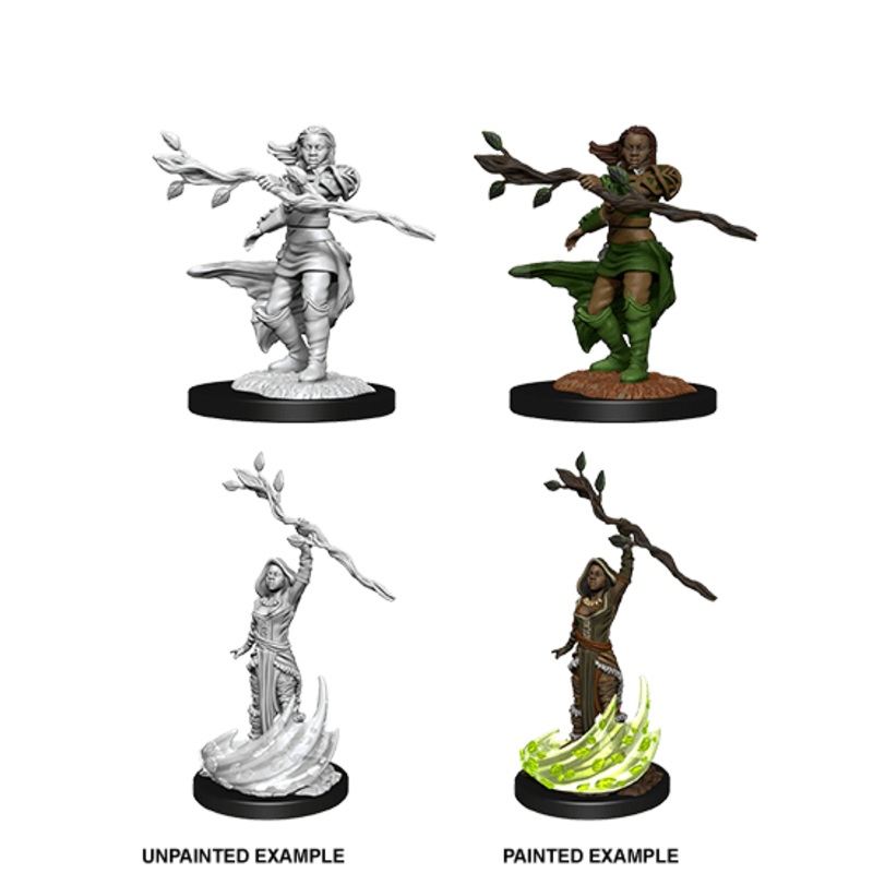 Dungeons & Dragons Nolzur's Marvelous Unpainted Miniatures: W14 Human Druid Female