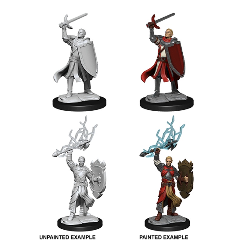 Dungeons & Dragons Nolzurs Marvelous Unpainted Miniatures: W14 Half-Elf Paladin Male