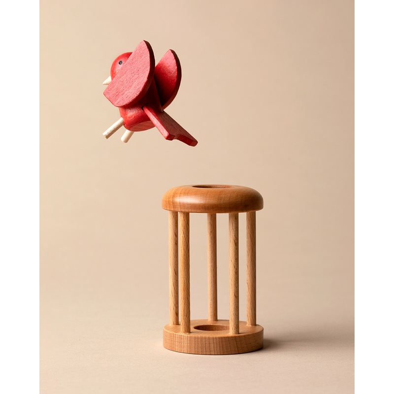 Bird in Cage Puzzle
